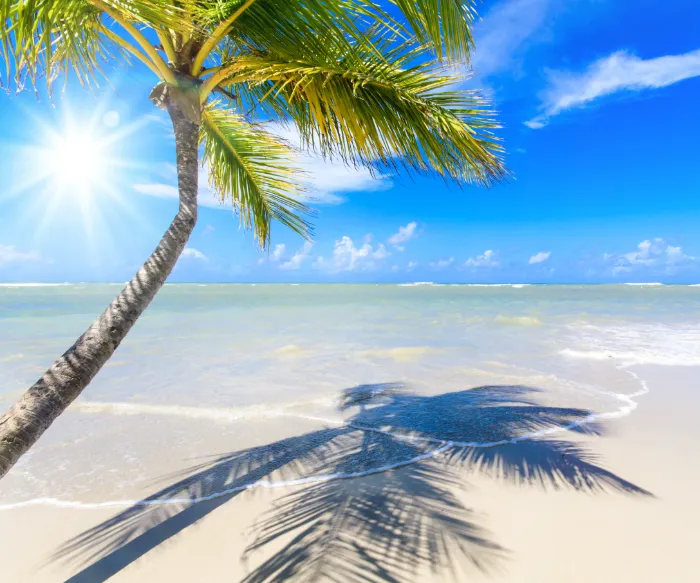 Strand mit Palmen und Sonne